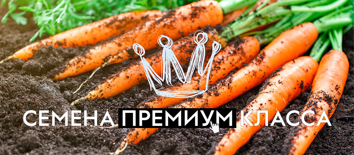 Семена премиум класса всегда в наличии и доступны для заказа